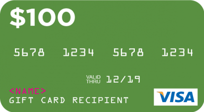 Visa Gift Card - $100 + $6 Fee